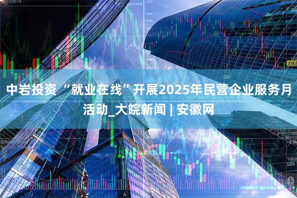 中岩投资 “就业在线”开展2025年民营企业服务月活动_大皖新闻 | 安徽网
