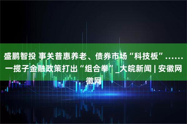 盛鹏智投 事关普惠养老、债券市场“科技板”……一揽子金融政策打出“组合拳”_大皖新闻 | 安徽网