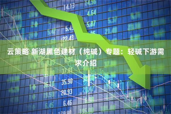 云策略 新湖黑色建材（纯碱）专题：轻碱下游需求介绍