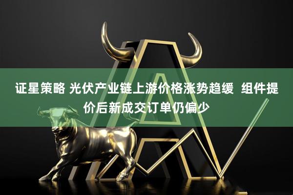 证星策略 光伏产业链上游价格涨势趋缓  组件提价后新成交订单仍偏少