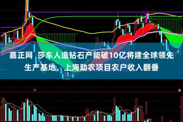 嘉正网  莎车人造钻石产能破10亿将建全球领先生产基地，上海助农项目农户收入翻番