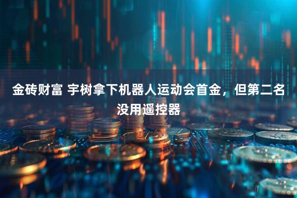 金砖财富 宇树拿下机器人运动会首金，但第二名没用遥控器