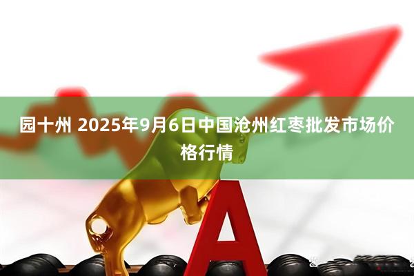 园十州 2025年9月6日中国沧州红枣批发市场价格行情