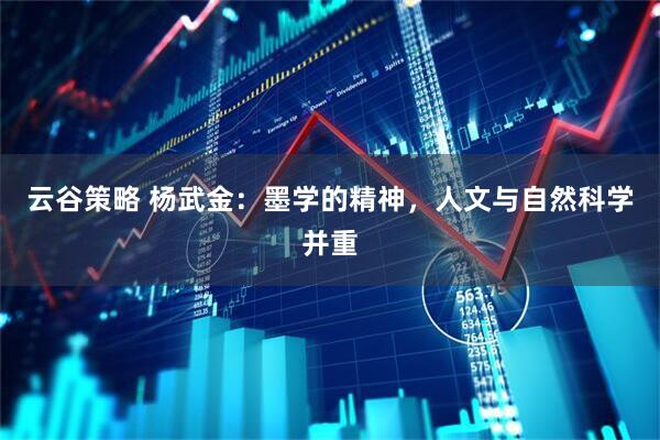 云谷策略 杨武金：墨学的精神，人文与自然科学并重