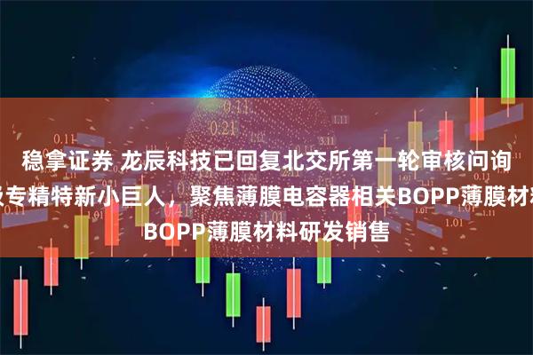 稳拿证券 龙辰科技已回复北交所第一轮审核问询函:国家级专精特新小巨人,聚焦薄膜电容器相关BOPP薄膜材料研发销售