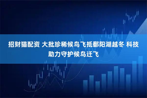 招财猫配资 大批珍稀候鸟飞抵鄱阳湖越冬&#32;科技助力守护候鸟迁飞