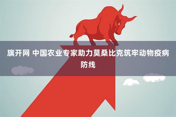 旗开网 中国农业专家助力莫桑比克筑牢动物疫病防线