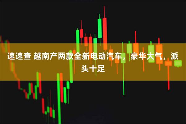 速速查 越南产两款全新电动汽车，豪华大气，派头十足